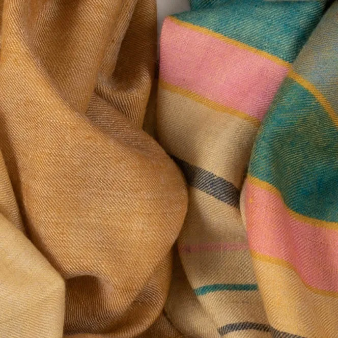 Apricot Crush Pashmina Cashmere Shawl